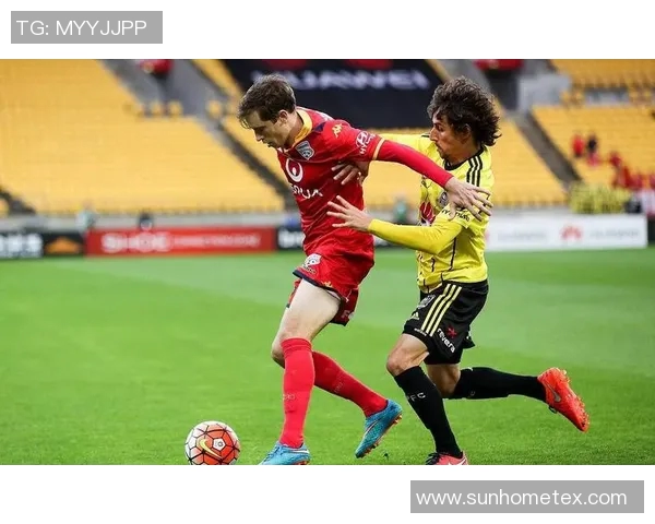 墨尔本胜利与阿德莱德联队历史交锋回顾与精彩瞬间分析 墨尔本胜利与阿德莱德联队历史交锋回顾与精彩瞬间分析