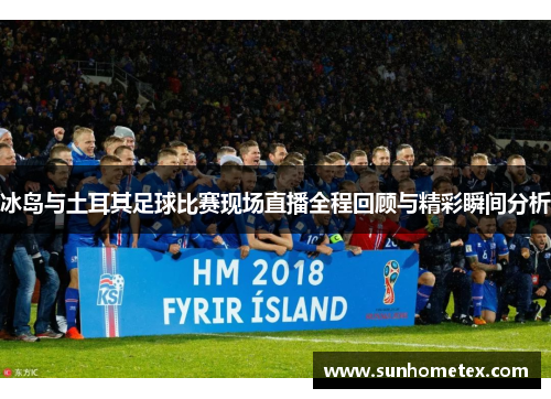 冰岛与土耳其足球比赛现场直播全程回顾与精彩瞬间分析