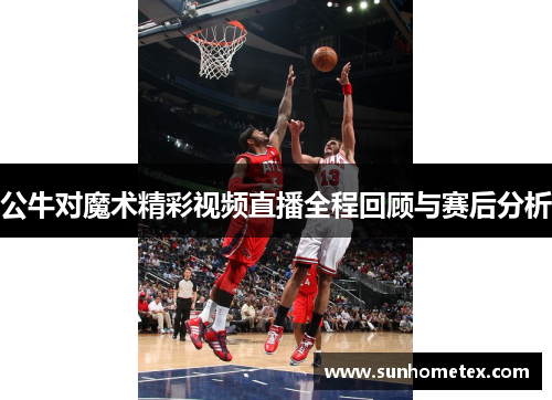 公牛对魔术精彩视频直播全程回顾与赛后分析