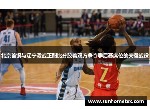 北京首钢与辽宁激战正酣比分胶着双方争夺季后赛席位的关键战役