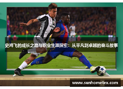史鸿飞的成长之路与职业生涯探索：从平凡到卓越的奋斗故事