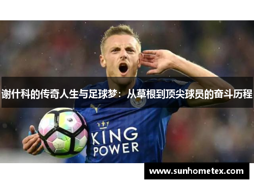 谢什科的传奇人生与足球梦：从草根到顶尖球员的奋斗历程